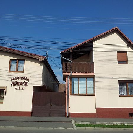Pensiunea Nane Sibiu Esterno foto